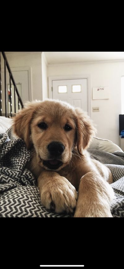 valentingyn thumbnail