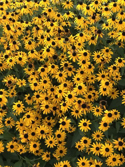 ashbabygrl thumbnail