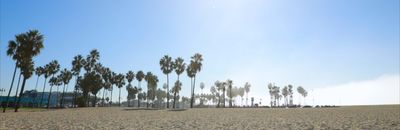 austinavery thumbnail