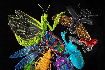 alejandra.cora thumbnail