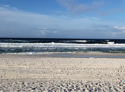 Cookie0202 thumbnail