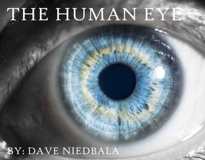 behindblueeyez thumbnail