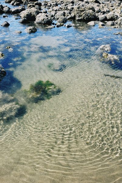 angelicqueer420 thumbnail