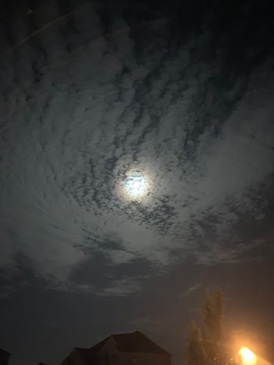 jin-the-jin thumbnail