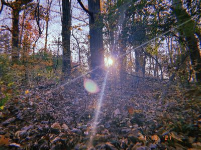 nooty.booty thumbnail