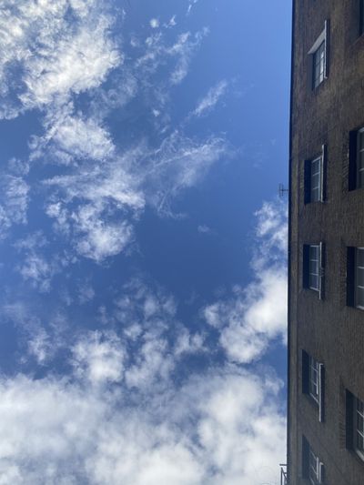 the_hybrid thumbnail