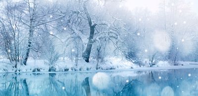 soft.snowflake.boy thumbnail