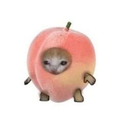 princess.peach333 profile