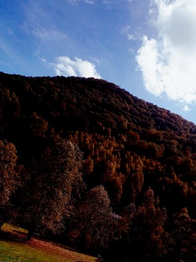 vanderkrux thumbnail