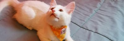 thiareshina lol 👽 thumbnail