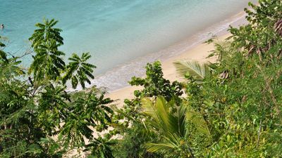 Nate Joness thumbnail