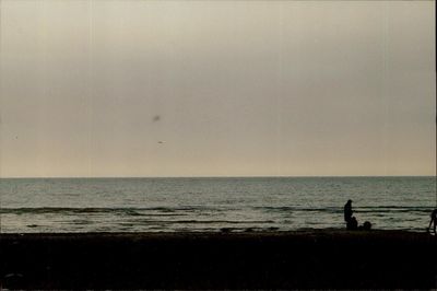 bigboybttm thumbnail