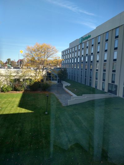 mycox_little thumbnail