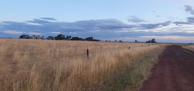 paladine01 thumbnail