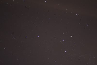 Everton Nunes profile