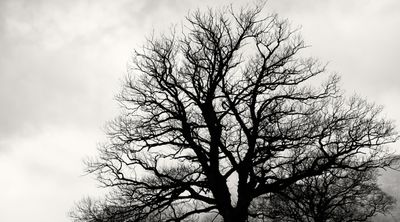 livingfunlife profile