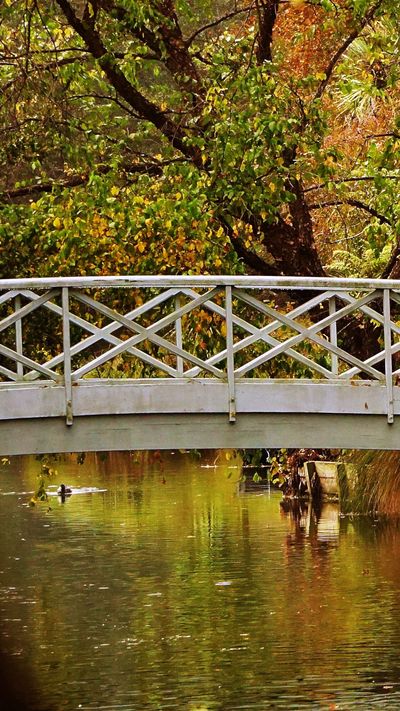 amethyst.7 thumbnail