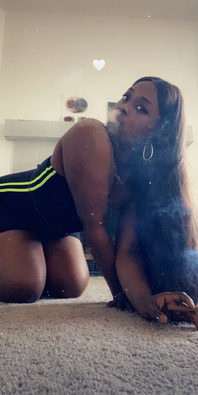 mishasnow211 thumbnail