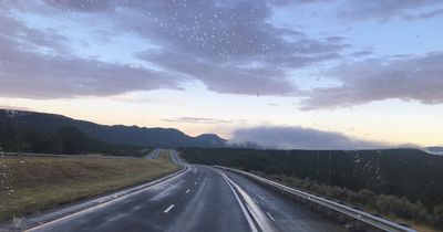 shae. 🦋 thumbnail