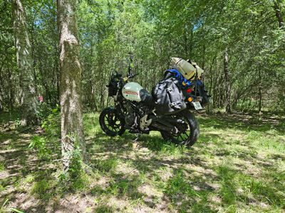 westleytook.98 thumbnail