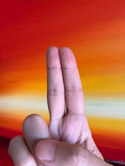 frankfragger thumbnail