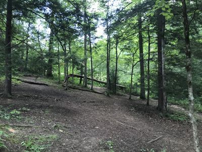 traci_manicae thumbnail