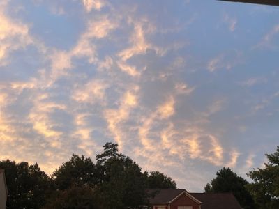 sandersworks thumbnail