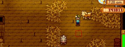 lovingsummerxox thumbnail