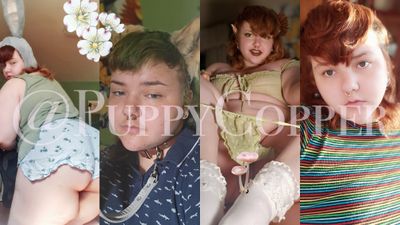 puppycopper thumbnail