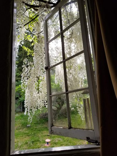 Denni Houston thumbnail