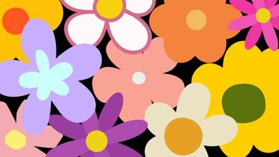 nerdycurvygirly thumbnail