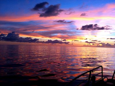 oceanscolide thumbnail