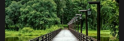 daddy_wilds thumbnail