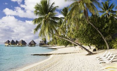 swirlshake thumbnail