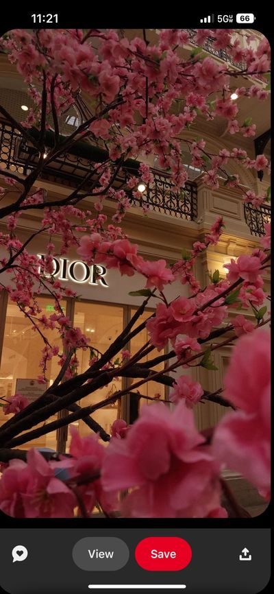 ladytexass thumbnail