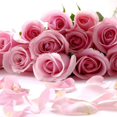 missariesrose thumbnail