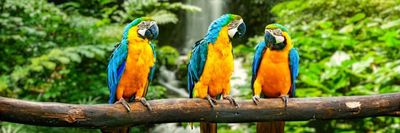 JL RODRÍGUEZ thumbnail