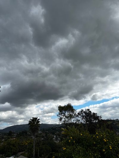 Goddess Lover profile