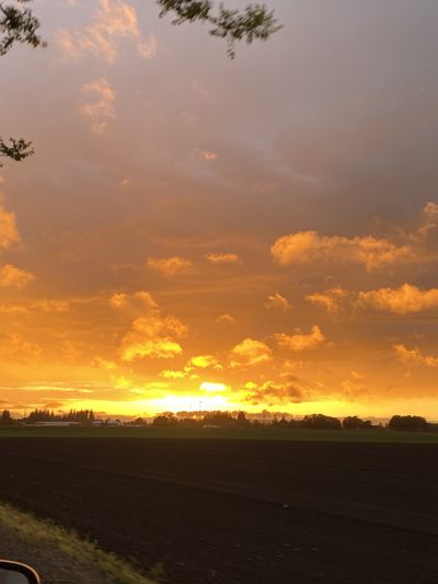 sexyredhead_69 thumbnail