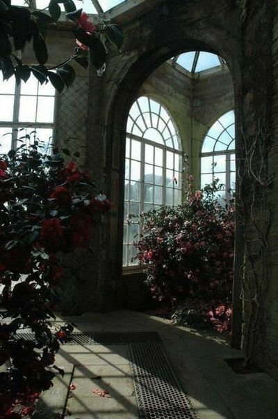 Iccy quartz thumbnail