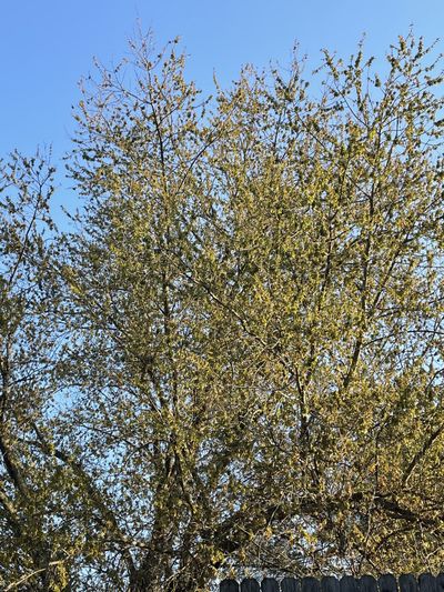 machinegunjenni thumbnail