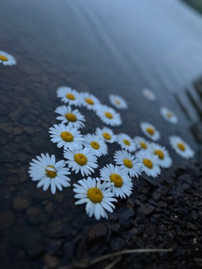 kris.babeee thumbnail