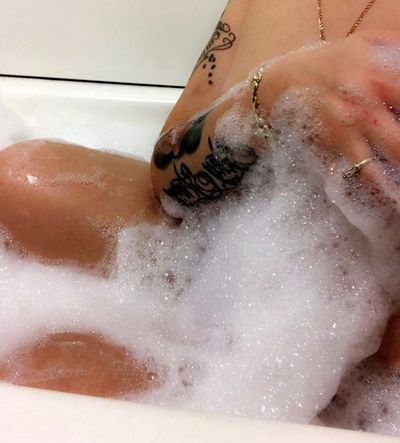 dynastyrosee thumbnail