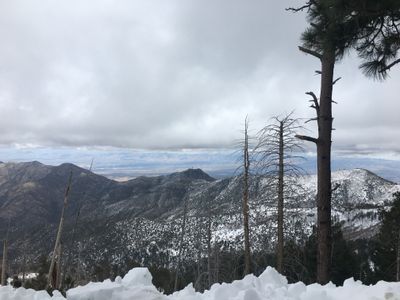 u163396033 thumbnail