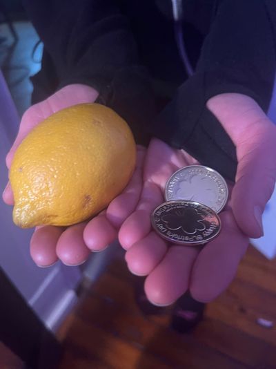 wisdomintheflesh thumbnail