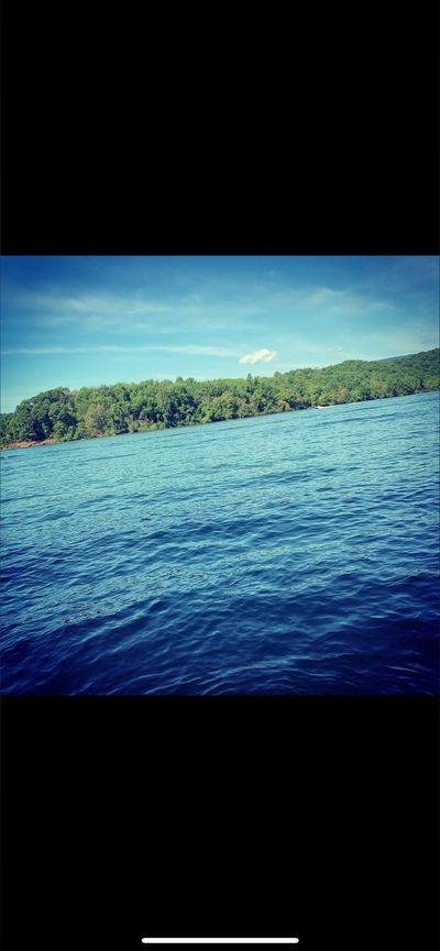 christhewolf thumbnail