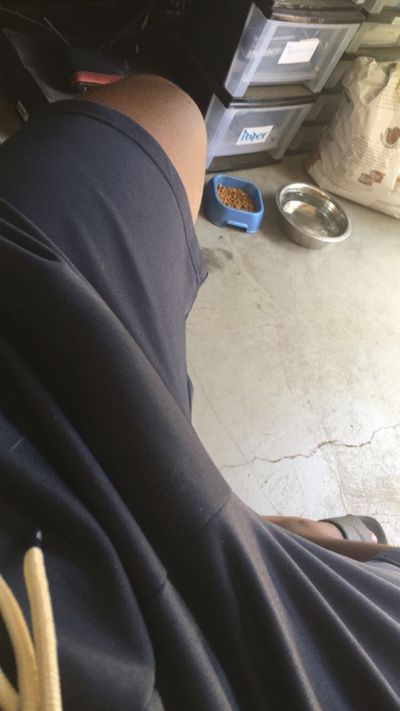 bigsenpaii thumbnail