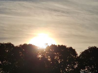 pixie_kitten thumbnail