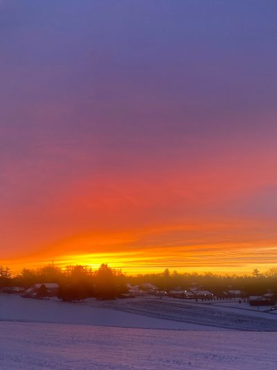 msdarricaj thumbnail