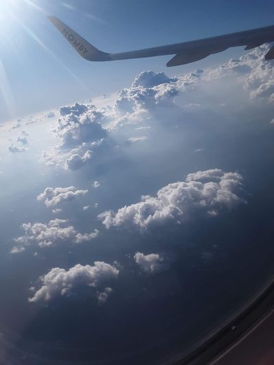 kittykat_2114 thumbnail